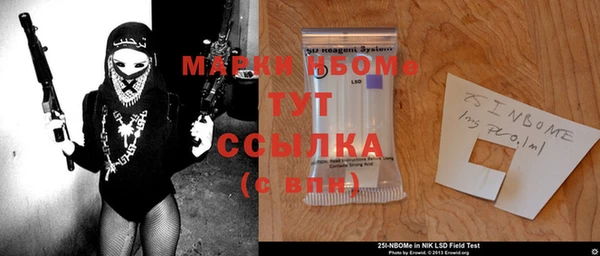 хмурый Лагань