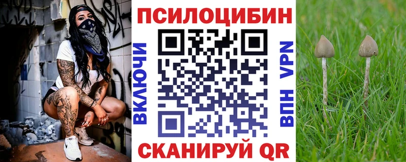 KRAKEN зеркало Лабинск Псилоцибиновые грибы Magic Shrooms