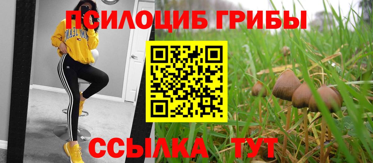 Лабинск  купить наркотики сайты  Вход с VPN  Галлюциногенные грибы Magic Shrooms 
